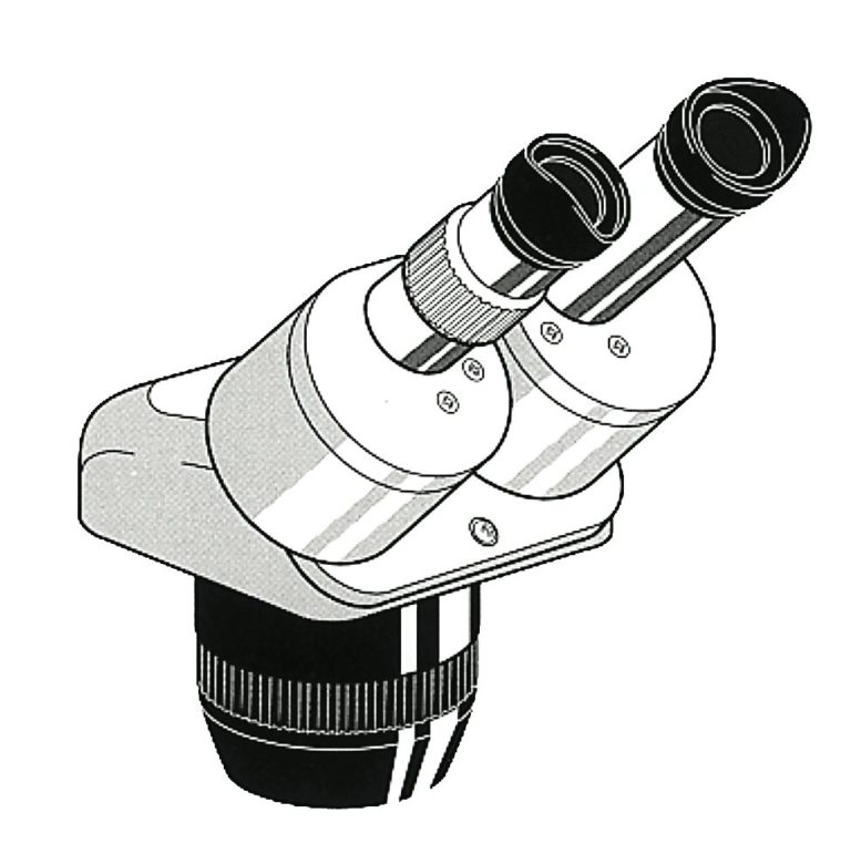 Binoculaire microscope