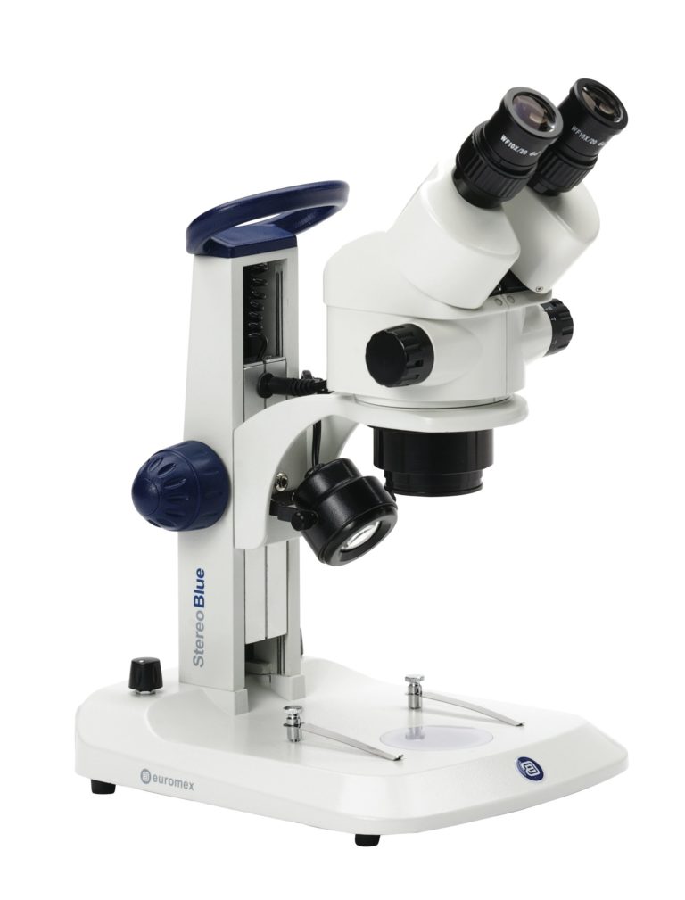 Microscope binocular or trinocular