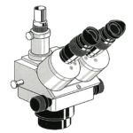 Trinoculaire microscope